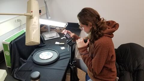 An undergraduate student works on their research project