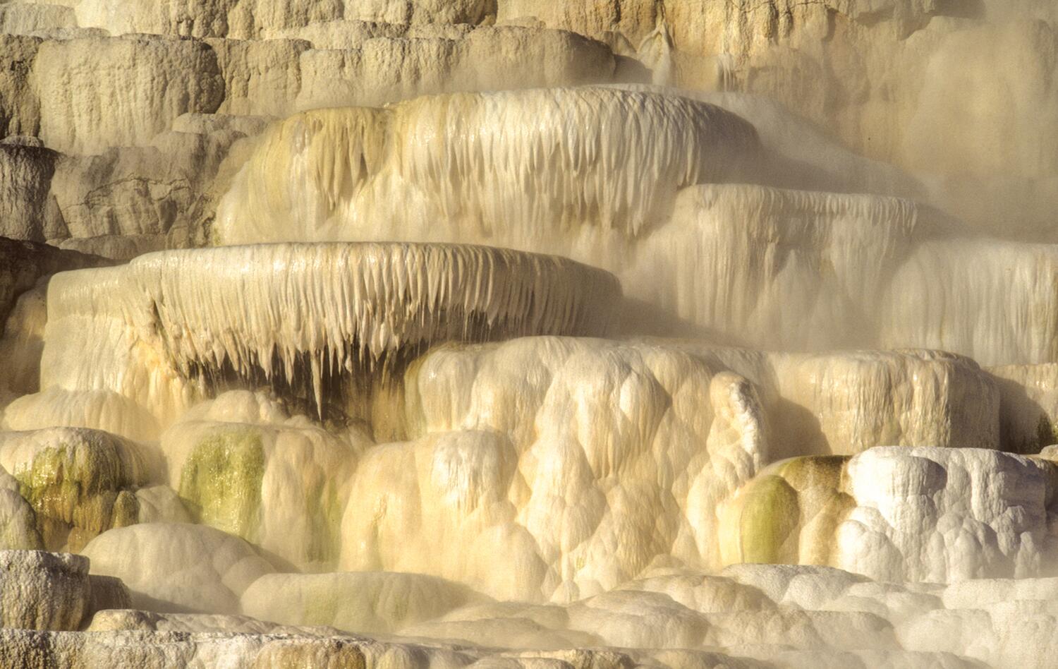 The mineral travertine deposited at Mammoth Hot Springs in Yellowstone National Park