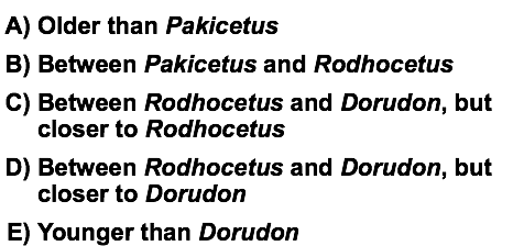Older than Pakicetus Between Pakicetus and Rodhocetus Between Rodhocetus and Dorudon, but closer to Rodhocetus Between Rodhocetus and Dorudon, but closer to Dorudon Younger than Dorudon
