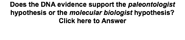 Does the DNA evidence support the paleontologist hypothesis or the molecular biologist hypothesis? Click here to Answer