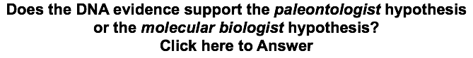 Does the DNA evidence support the paleontologist hypothesis or the molecular biologist hypothesis? Click here to Answer